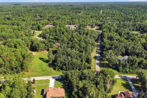 Land in Beverly Hills, Florida № 2378154 - photo 10