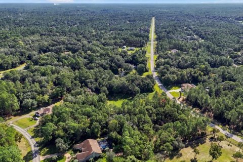Land in Beverly Hills, Florida № 2378154 - photo 11