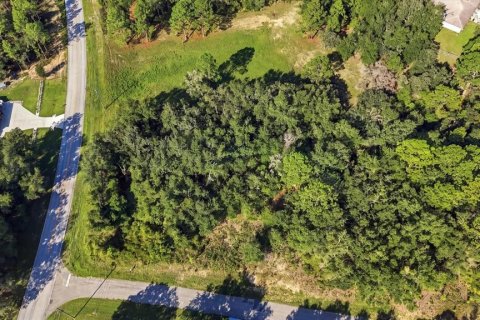 Land in Beverly Hills, Florida № 2378154 - photo 8
