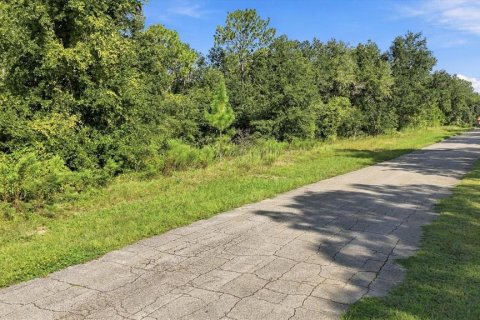 Land in Beverly Hills, Florida № 2378154 - photo 5