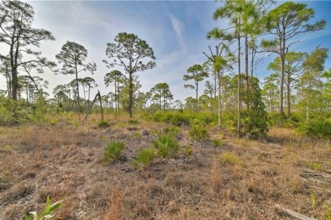 Land in Cape Coral, Florida № 2114311 - photo 13