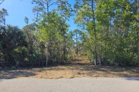 Land in Cape Coral, Florida № 2114311 - photo 12