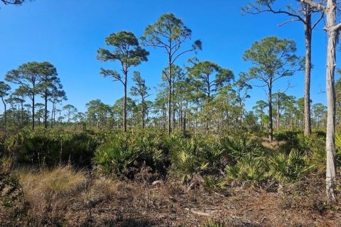 Land in Cape Coral, Florida № 2114311 - photo 15