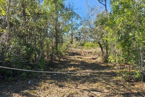Land in Cape Coral, Florida № 2114311 - photo 14