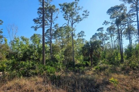 Land in Cape Coral, Florida № 2114311 - photo 16