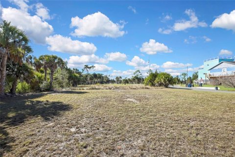 Terreno en venta en Hernando Beach, Florida № 2099334 - foto 8