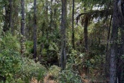 Land in Palm Bay, Florida № 2163655