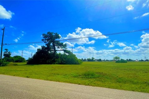 Land in Cape Coral, Florida № 2163375 - photo 2