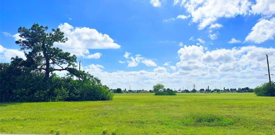 Land in Cape Coral, Florida № 2163375