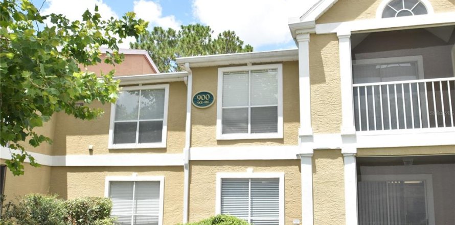 Studio in the Condo in Tampa, Florida № 2314516