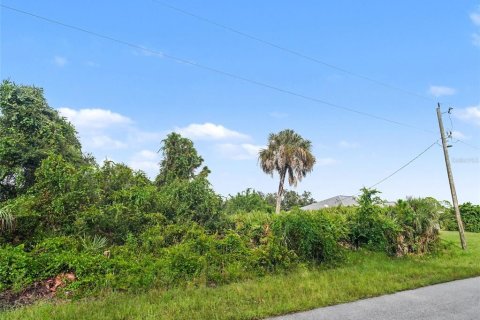 Land in North Port, Florida № 2384073 - photo 3