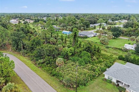 Land in North Port, Florida № 2384073 - photo 6