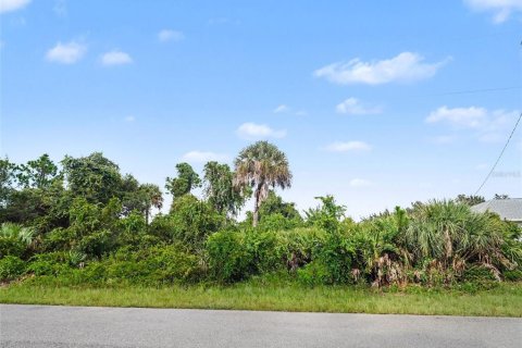 Land in North Port, Florida № 2384073 - photo 5