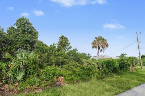 Land in North Port, Florida № 2384073 - photo 7