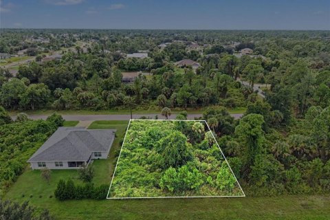 Land in North Port, Florida № 2384073 - photo 19