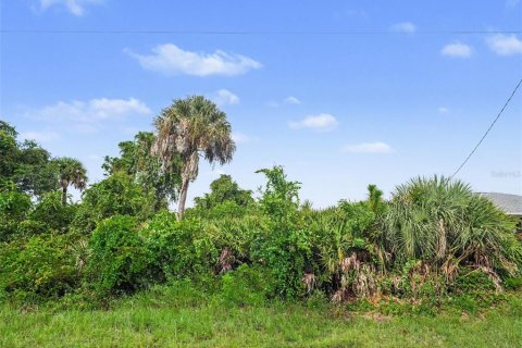 Land in North Port, Florida № 2384073 - photo 9