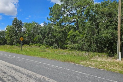 Terrain à vendre à Beverly Hills, Floride № 1853599 - photo 4