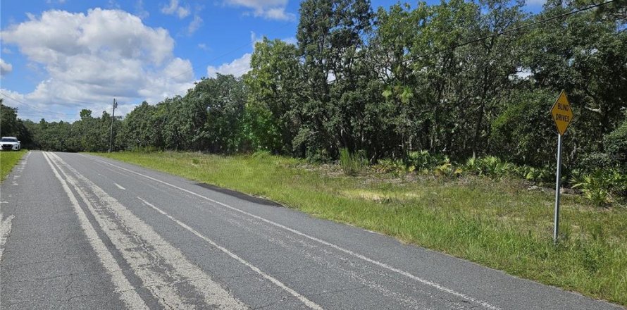 Terrain à Beverly Hills, Floride № 1853599