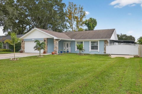 House in Valrico, Florida 3 bedrooms, 196.3 sq.m. № 1903836 - photo 3