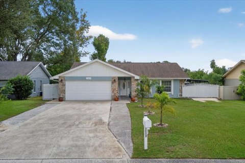 House in Valrico, Florida 3 bedrooms, 196.3 sq.m. № 1903836 - photo 1