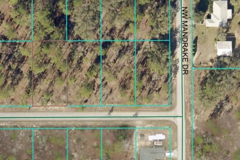 Land in Dunnellon, Florida № 2232613 - photo 3