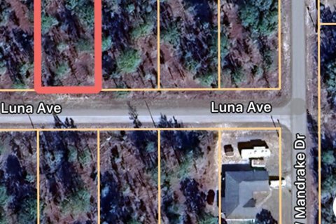 Terrain à Dunnellon, Floride № 2232613