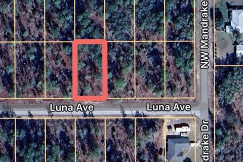 Land in Dunnellon, Florida № 2232613 - photo 2