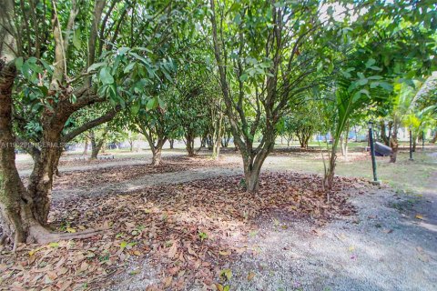 Casa en alquiler en Homestead, Florida, 3 dormitorios, 243.13 m2 № 2054832 - foto 9