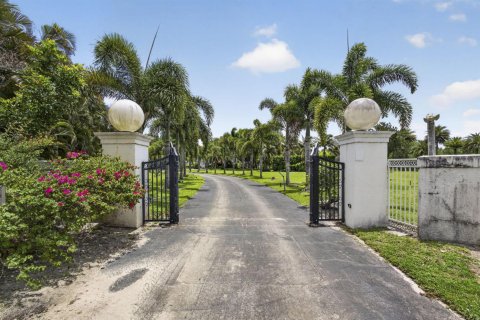 Villa ou maison à vendre à Loxahatchee Groves, Floride: 6 chambres, 510.59 m2 № 2077688 - photo 4
