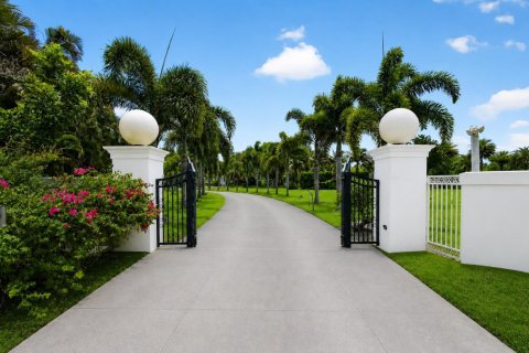Villa ou maison à vendre à Loxahatchee Groves, Floride: 6 chambres, 510.59 m2 № 2077688 - photo 3