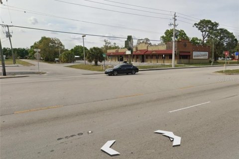 Immobilier commercial à vendre à Okeechobee, Floride № 2125259 - photo 3