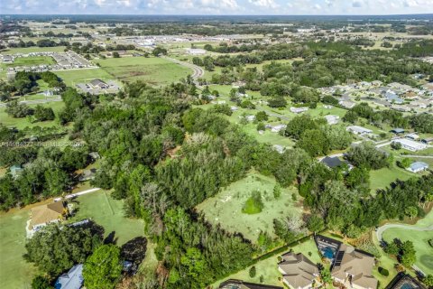 Immobilier commercial à vendre à Wildwood, Floride № 2147389 - photo 8