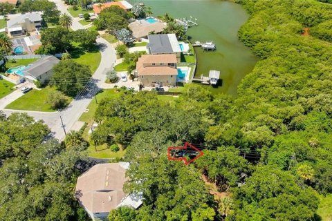 House in Seminole, Florida 3 bedrooms, 249.72 sq.m. № 1919726 - photo 24