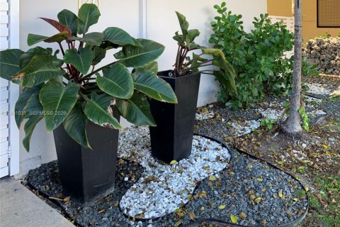 Copropriété à louer à Coral Gables, Floride: 1 chambre, 1700.11 m2 № 2044217 - photo 11