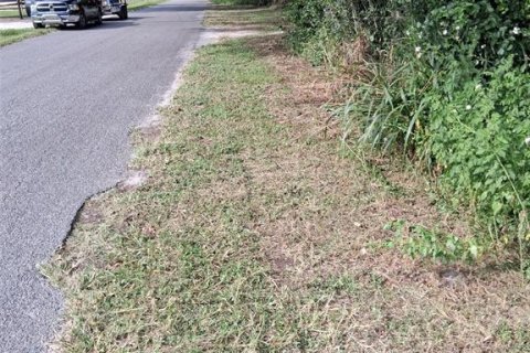 House in Reddick, Florida 3 bedrooms, 172.98 sq.m. № 2098523 - photo 2
