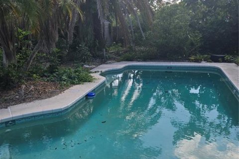 House in Dunedin, Florida 2 bedrooms, 87.7 sq.m. № 1750037 - photo 6