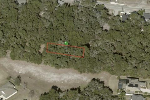Terrain à DeLand, Floride № 2164636