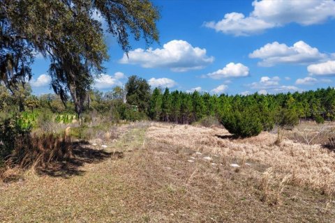 Terrain à vendre à Chiefland, Floride № 2148833 - photo 3