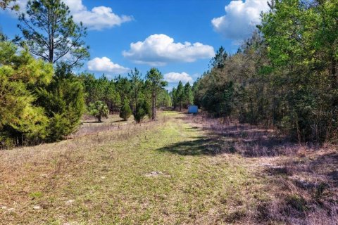 Terrain à vendre à Chiefland, Floride № 2148833 - photo 6