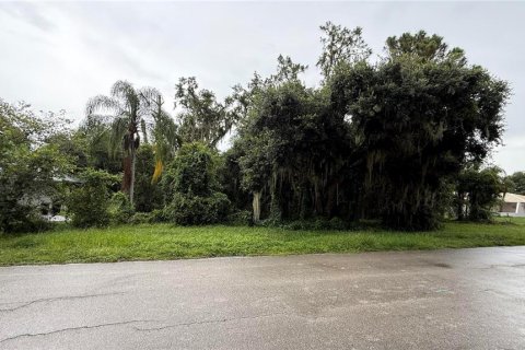 Terrain à Sebring, Floride № 2224217
