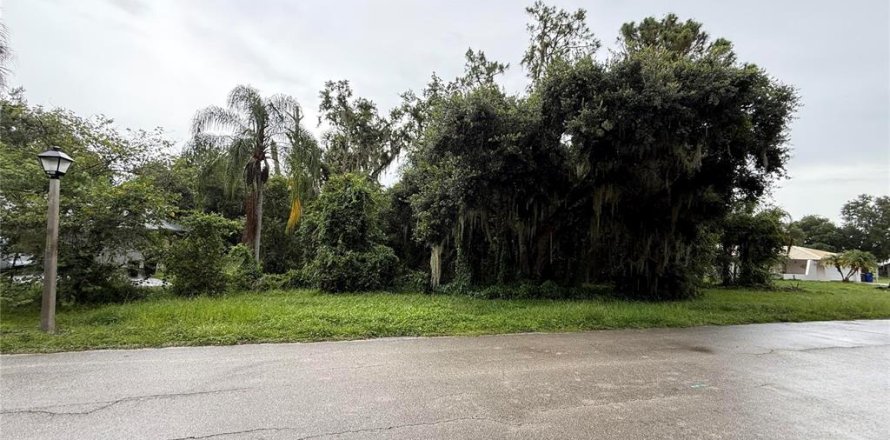 Terrain à Sebring, Floride № 2224217