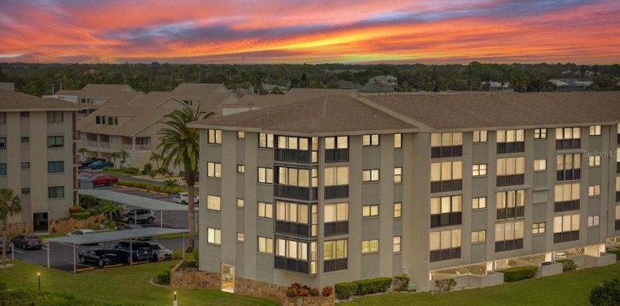 Condo à Port Richey, Floride, 2 chambres  № 2408902