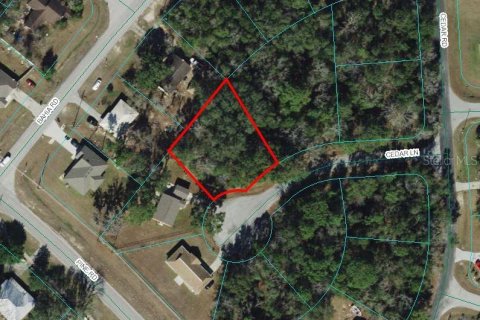 Land in Ocala, Florida № 996867 - photo 1