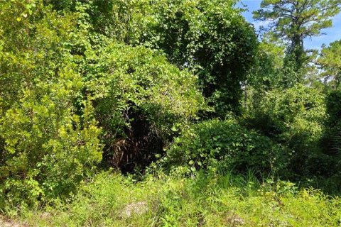 Terrain à Satsuma, Floride № 2236491