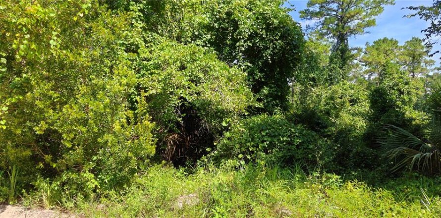 Land in Satsuma, Florida № 2236491
