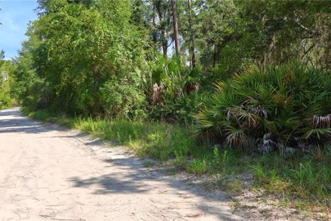 Land in Satsuma, Florida № 2236491 - photo 2