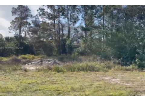 Land in Clewiston, Florida № 282432 - photo 1