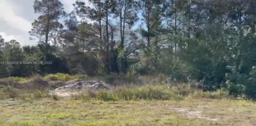 Land in Clewiston, Florida № 282432