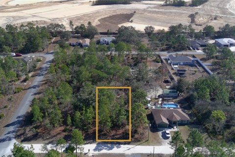 Land in Weeki Wachee, Florida № 2108723