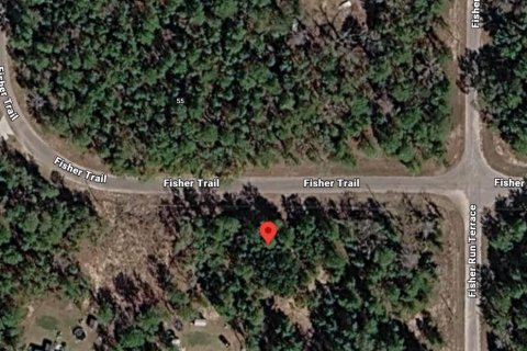 Land in Ocklawaha, Florida № 2202075